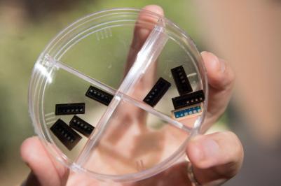 Weebit Nano RRAM chip prototypes photo